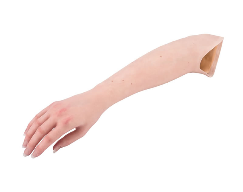 Prosthetic Arm